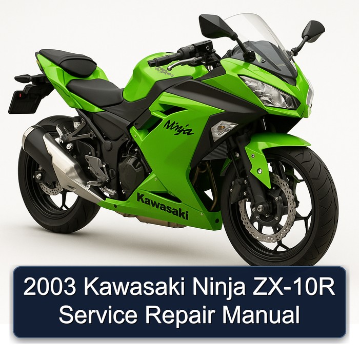 2003 Kawasaki Ninja ZX-10R Service Repair Manual