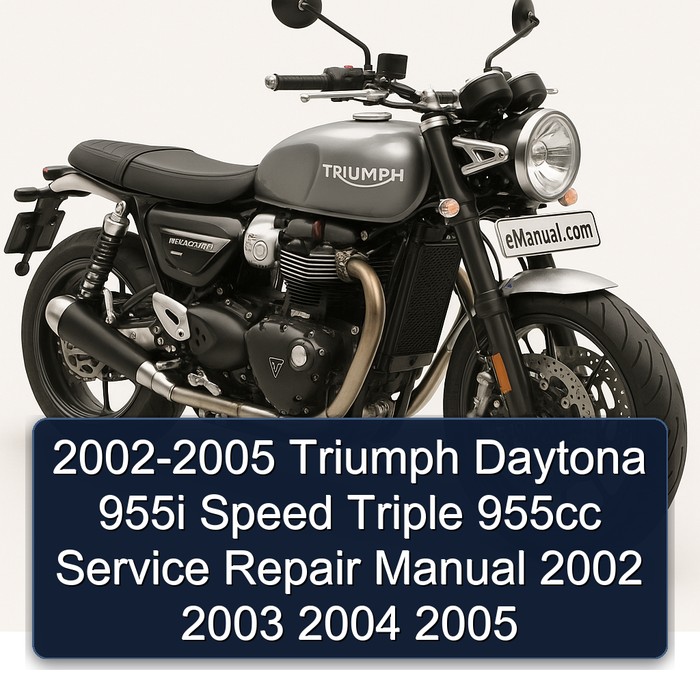 2002-2005 Triumph Daytona 955i Speed Triple 955cc Service Repair Manual 2002 2003 2004 2005
