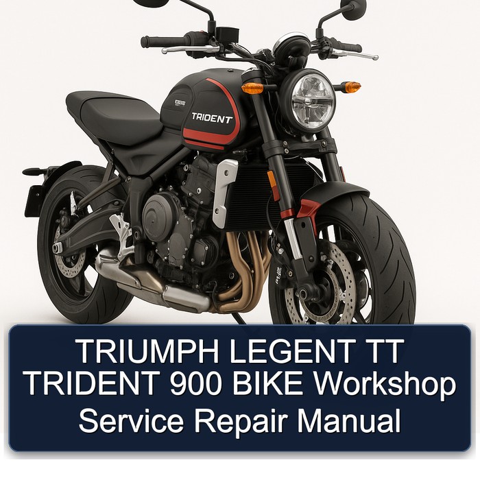TRIUMPH LEGENT TT TRIDENT 900 BIKE Workshop Service Repair Manual