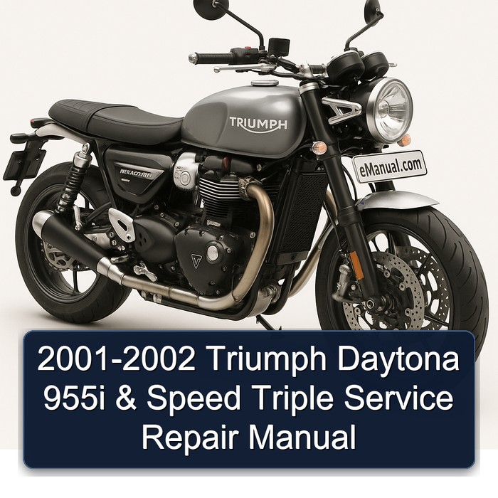2001-2002 Triumph Daytona 955i & Speed Triple Service Repair Manual