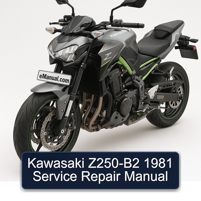 Kawasaki Z250-B2 1981 Service Repair Manual