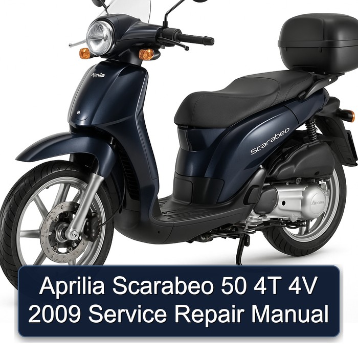 Aprilia Scarabeo 50 4T 4V 2009 Service Repair Manual