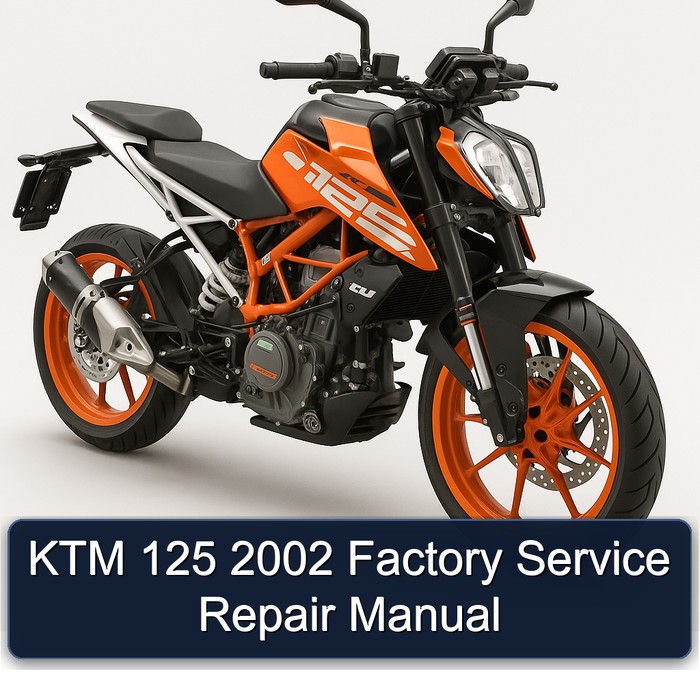 KTM 125 2002 Factory Service Repair Manual