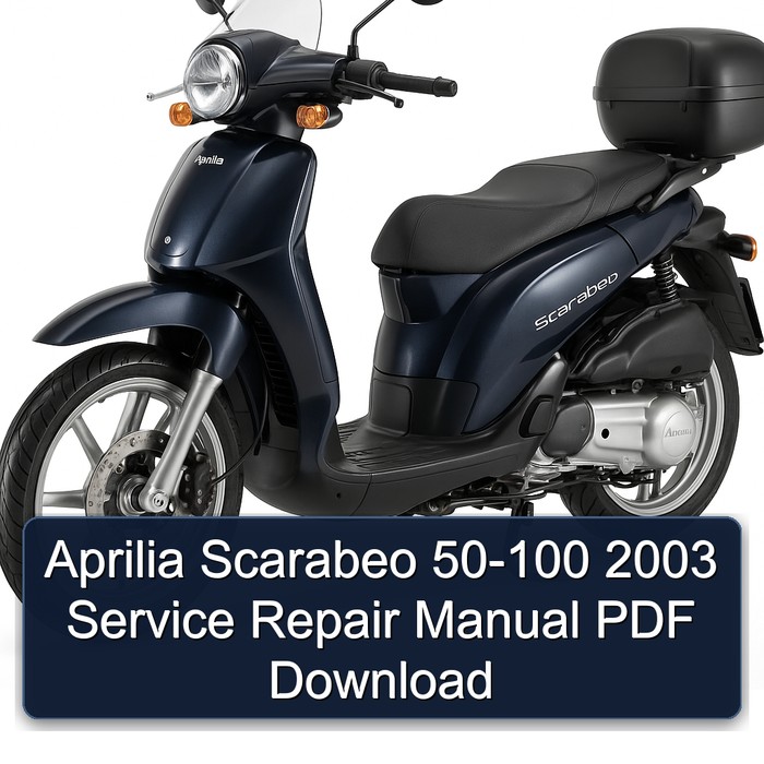 Aprilia Scarabeo 50-100 2003 Service Repair Manual PDF Download