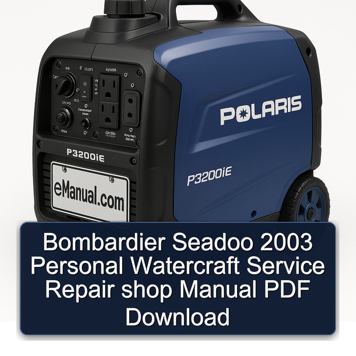 Bombardier Seadoo 2003 Personal Watercraft Service Repair shop Manual PDF Download