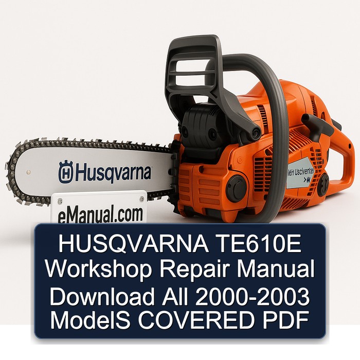 HUSQVARNA TE610E Workshop Repair Manual Download All 2000-2003 ModelS COVERED PDF